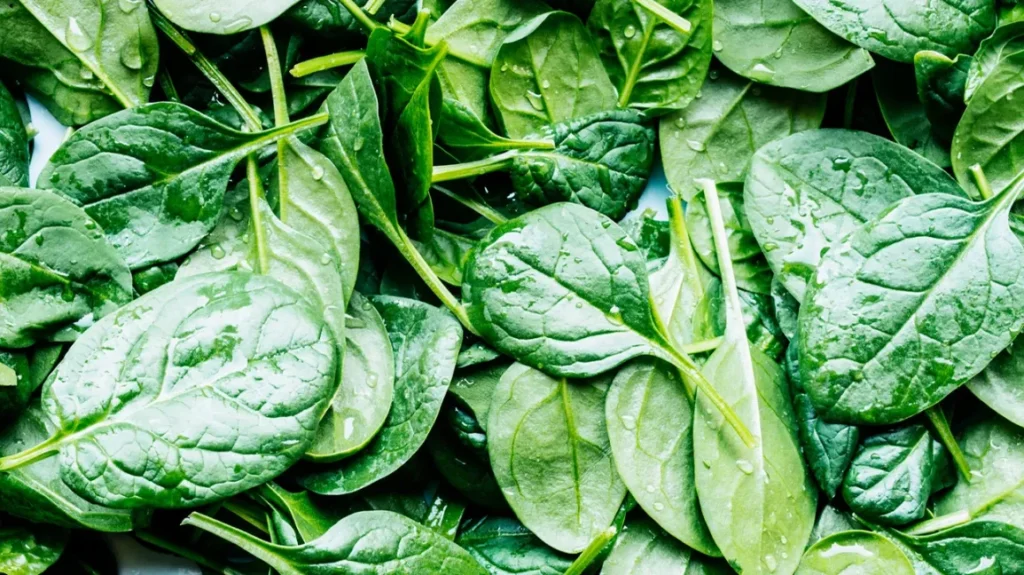  Spinach: Rich in Nutrients for Immune Health