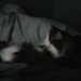 Sleep Quality