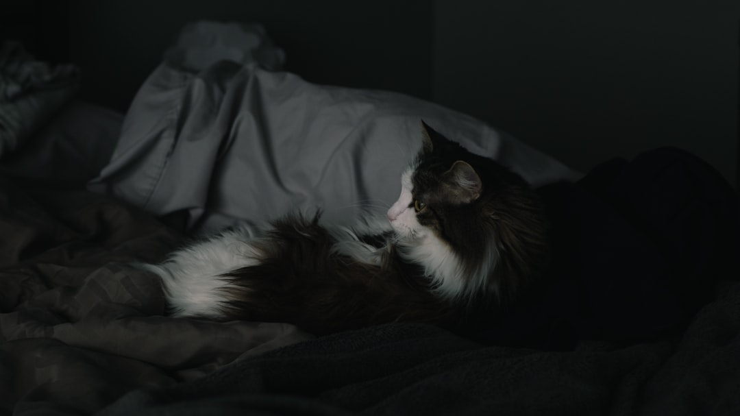 Sleep Quality